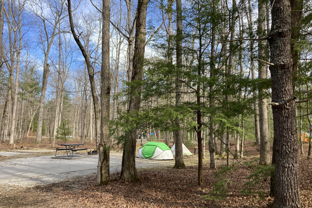 Cades Cove Campground Cades Cove Campground | Great Smoky Mountains National Park