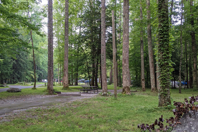 Elkmont Campground
