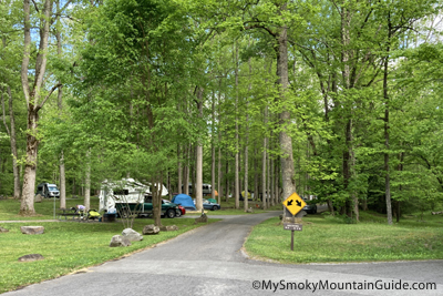 Elkmont Campground