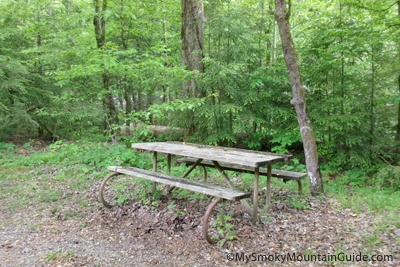 Elkmont Campground Picnic Table