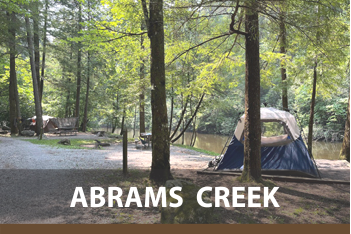 Abrams Creek Campground: Great Smoky Mountains National Park
