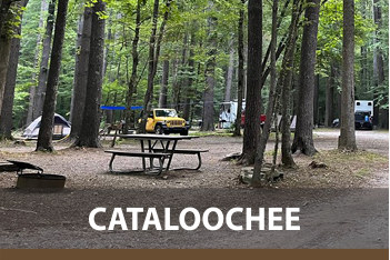 Cataloochee Campground: Great Smoky Mountains National Park