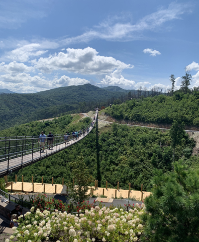 680' Gatlinburg Skybridge