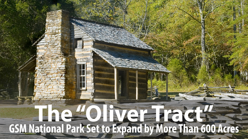 The Oliver Tract | Great Smoky Mountains National Park